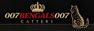 007Bengals007 Cattery logo
